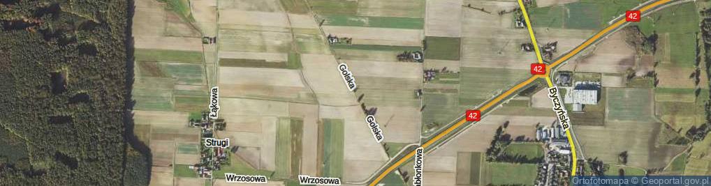 Zdjęcie satelitarne Golska ul.